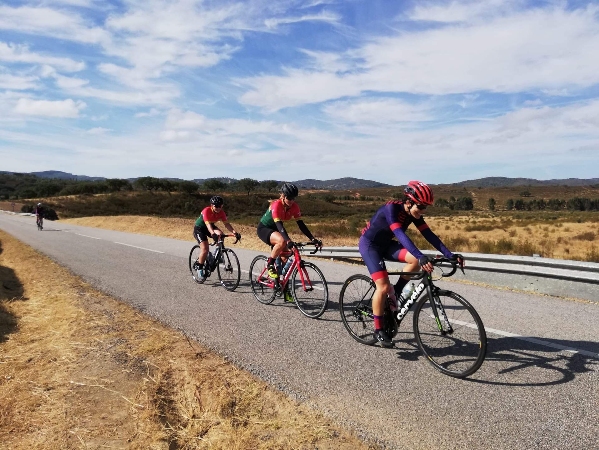 Seguro Bicicleta: Quatro pessoas andando de bicicleta em uma via asfaltada em uma bela paisagem aberta.